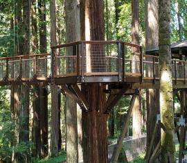 Eureka Zoo Redwood Skybridge
